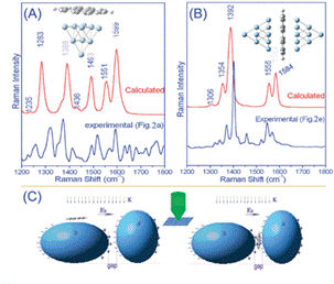 Single molecules cooling off - Surface-enhanced Raman scattering has been used to probe single molecular behaviour by scientists in China and Sweden