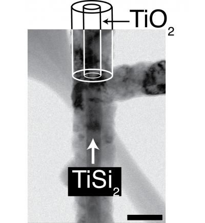 Journal of the American Chemical Society