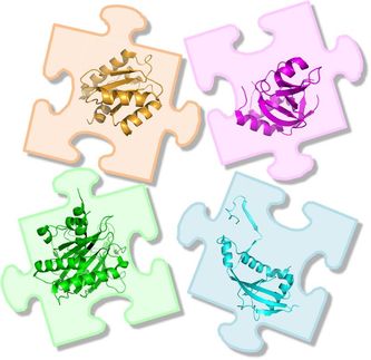 How Argonaute Proteins Intervene in the Gene Regulation Process
