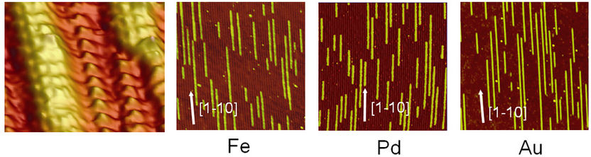 MPI für Mikrostrukturphysik