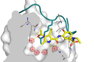 Quelle: AG Pharmazeutische Bioinformatik