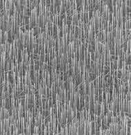 Laserlicht aus Halbleiter-Nanodrähten