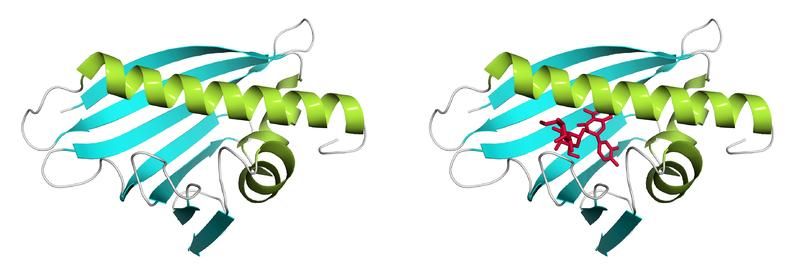 Forschungszentrum für Bio-Makromoleküle der Universität Bayreuth