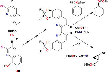 enzymemof