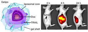 New technique targets specific areas of cancer cells with different drugs