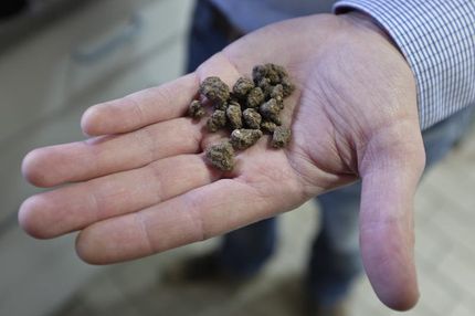 Neuer Brennstoff entsteht aus Alt-Kunststoff und Biomasse