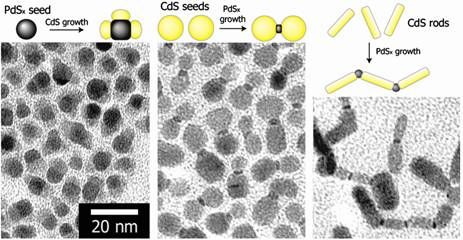 Planting the seeds for nanoparticle growth