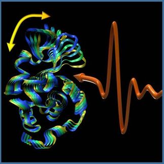 The symphony of life, revealed