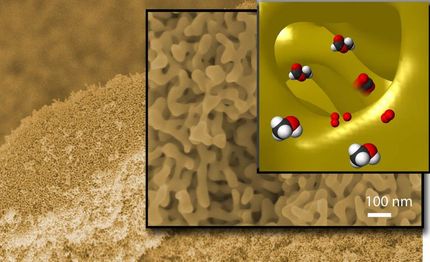 Neuartige Goldkatalysatoren fuer die Gruene Chemie