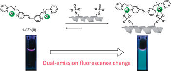 Phosphorylated peptide detection