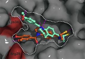 Forscher beleben erstmals Enzym wieder