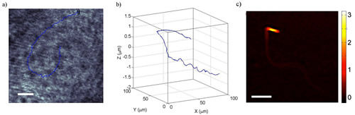 Biomedical Optics Express