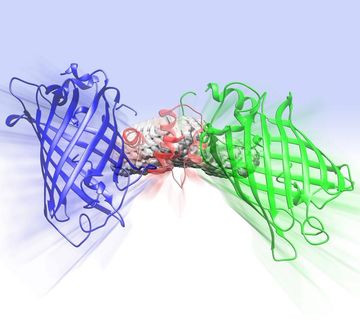 Neue Leuchten für die Forschung
