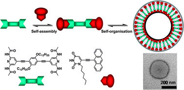 selfassembnano