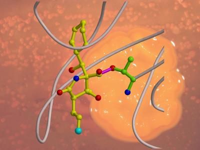 TUM Dept. of Biochemistry and Nereus Pharmaceuticals.