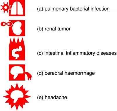 Lamy et al, BMC Medical Informatics and Decision Making