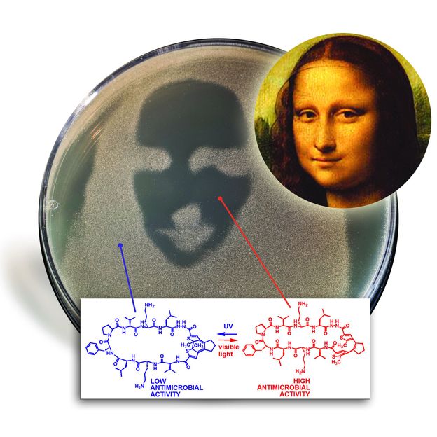 Abbildung: Babii et al., Angewandte Chem., 2014