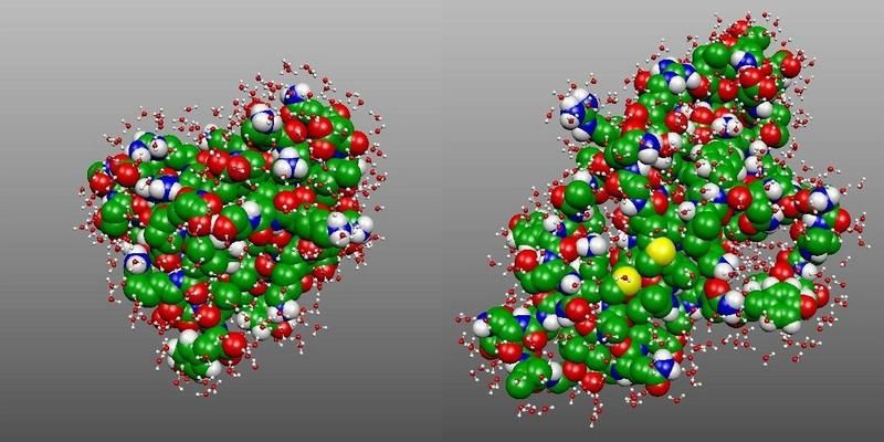 Proteinfaltung verändert das Wasser in der Umgebung - Neue Erkenntnisse der Terahertz-Spektroskopie