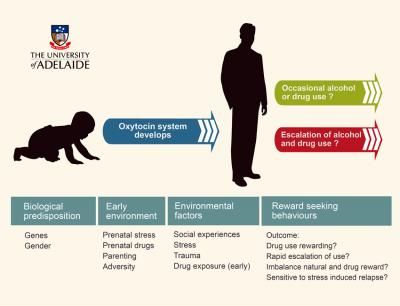 Can 'love hormone' protect against addiction?