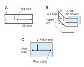 Simple microfluidic devices now have valves