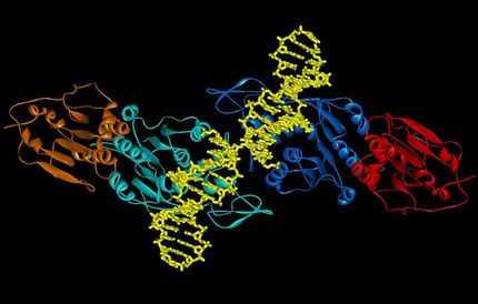 methyltransferase
