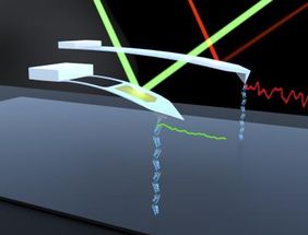 No compromises: Short, flexible, reusable AFM probe