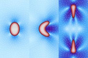 At the origin of cell division