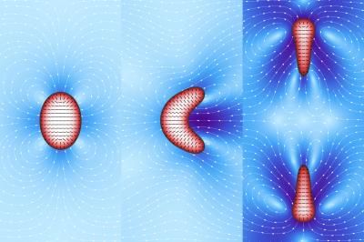 At the origin of cell division