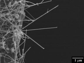 Understanding mechanical properties of silicon nanowires paves way for nanodevices