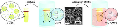 Nanoparticle dialysis