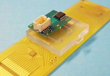 Feinere Analyseverfahren verbessern Fruehdiagnostik bei Krebs und HerzKreislaufErkrankungen