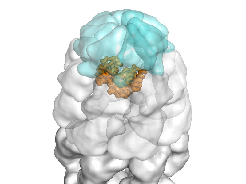 Dr. Andreas Bracher © MPI of Biochemistry