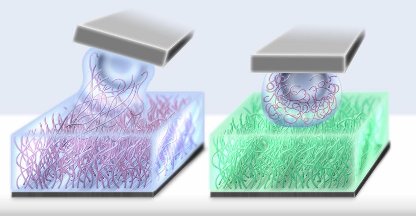 Using nature as a model for low-friction bearings