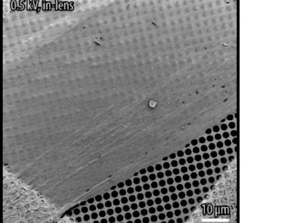 Gebürstete Nanoschicht