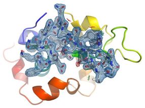 Serienbilder von Biomolekülen