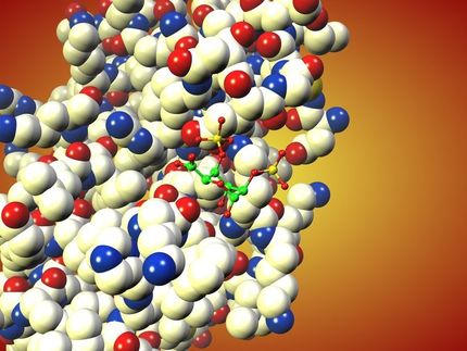 Zucker gegen Atemnot