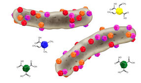 Nanodiamanten als Bakterienkiller