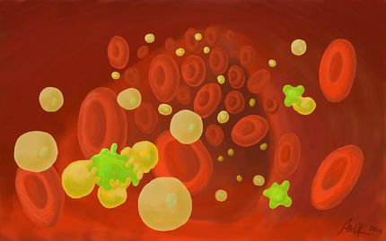 Fettmoleküle helfen T-Zellen im Kampf gegen Leukämie