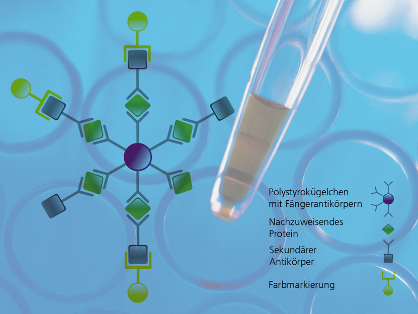 © Fraunhofer FIT