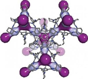 3-D pore structure of CC3