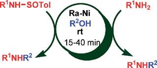 raneydaychem