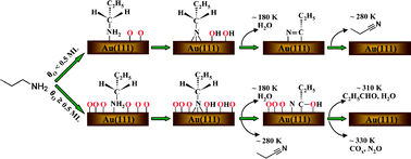 oxygengold