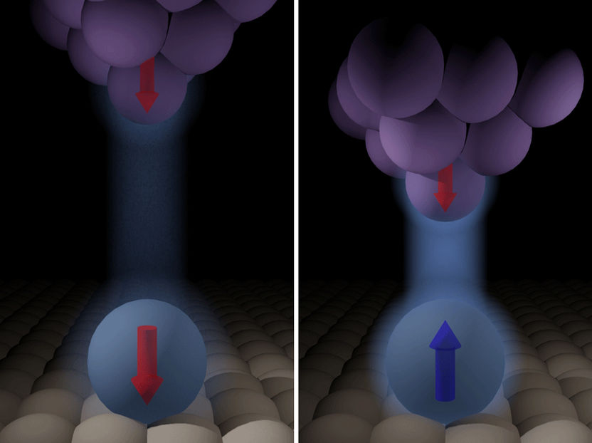 Eine Schaltung für atomare Bits - Das magnetische Moment lässt sich mit der Spitze eines Rastertunnelmikroskops manipulieren