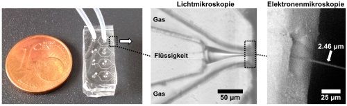 Neuartiger Mikrochip mit hohem Anwendungspotenzial