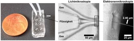 Neuartiger Mikrochip mit hohem Anwendungspotenzial