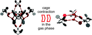 metallosupramolecular