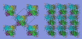 Proteine: Neue Materialklasse entdeckt