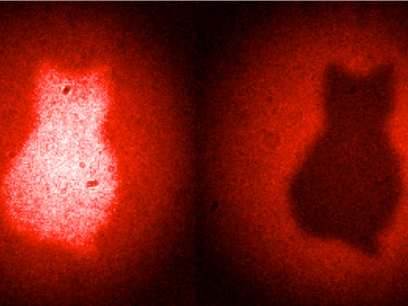 Quantenphysik ermöglicht revolutionäres Abbildungsverfahren