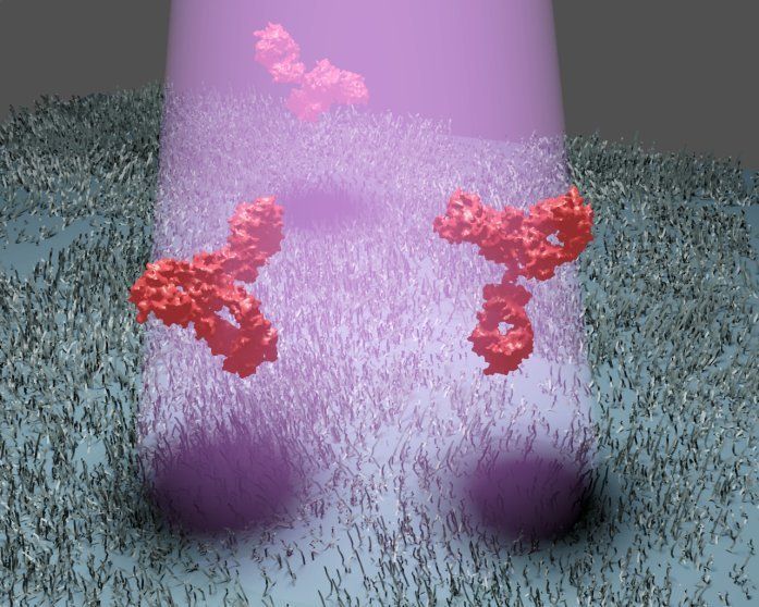 The shadow of a disease - Proteins such as tumour markers can be easily and sensitively detected by their scattered light