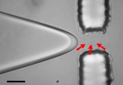 New nanochemistry technique encases single molecules in microdroplets